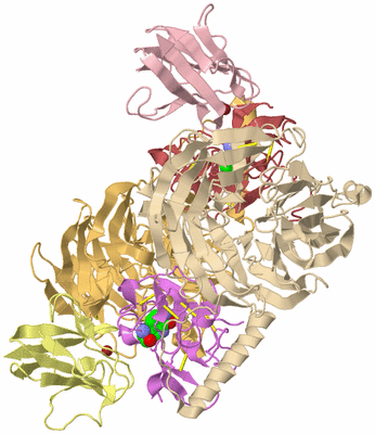 Image Biological Unit 2