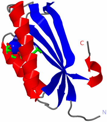 Image Asym./Biol. Unit - sites