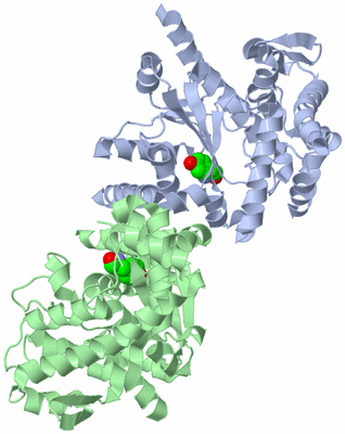 Image Asym./Biol. Unit