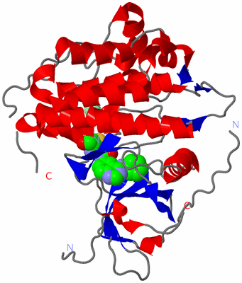 Image Asym./Biol. Unit