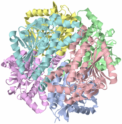 Image Biological Unit 1