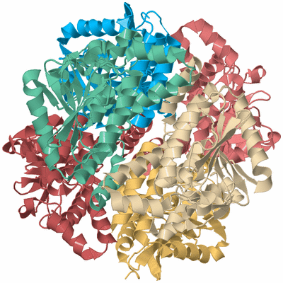 Image Biological Unit 2