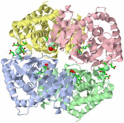 Image Asym./Biol. Unit - sites