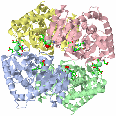 Image Asym./Biol. Unit - sites