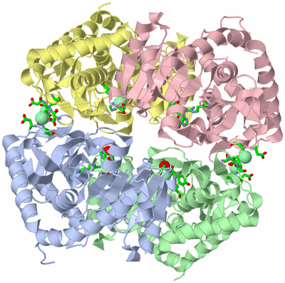 Image Asym./Biol. Unit - sites