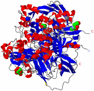 Image Asym./Biol. Unit