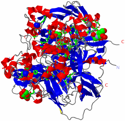 Image Asym./Biol. Unit - sites