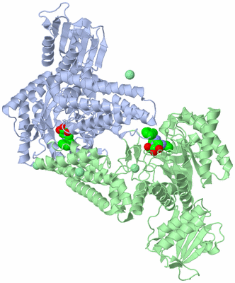 Image Asym./Biol. Unit