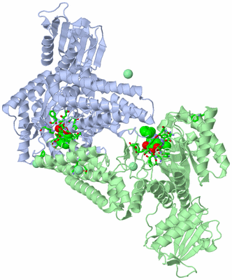 Image Asym./Biol. Unit - sites