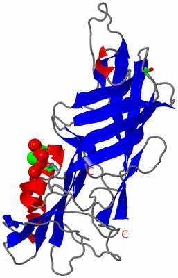 Image Asym. Unit - sites