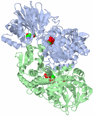 Image Asym./Biol. Unit