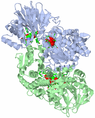 Image Asym./Biol. Unit - sites