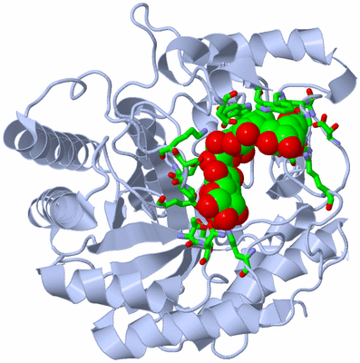 Image Biol. Unit 1 - sites