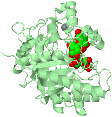 Image Biological Unit 2