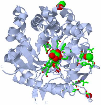 Image Biol. Unit 1 - sites