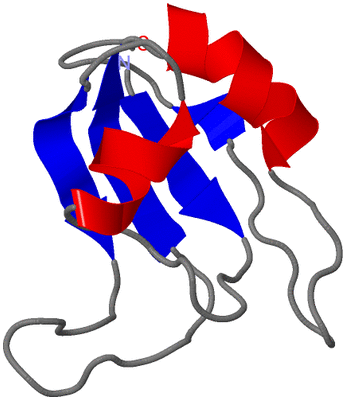 Image NMR Structure - model 1