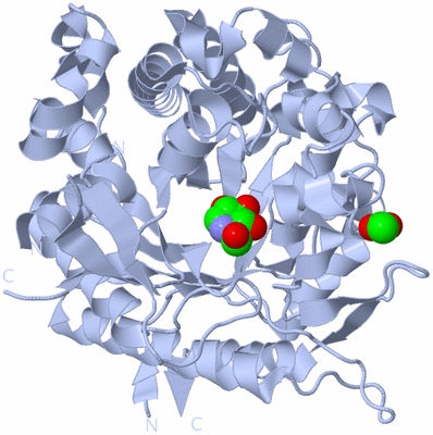 Image Biological Unit 1