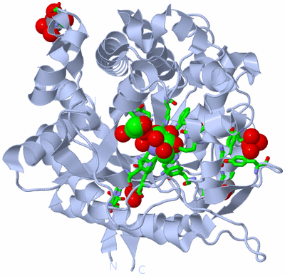 Image Biol. Unit 1 - sites