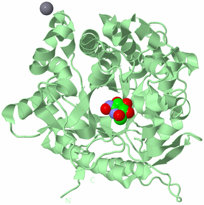 Image Biological Unit 2