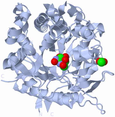 Image Biological Unit 1