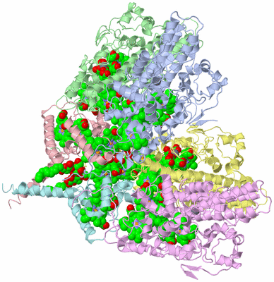 Image Biological Unit 1