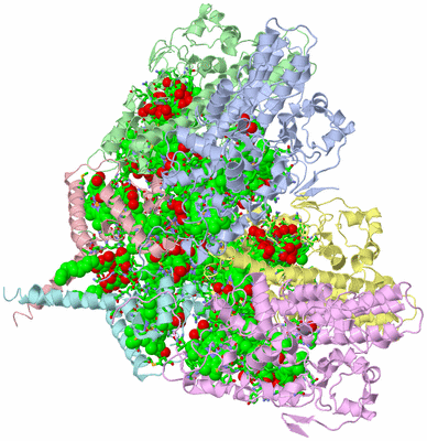 Image Biol. Unit 1 - sites