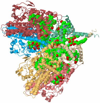 Image Biological Unit 2