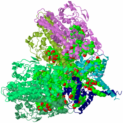 Image Biological Unit 3