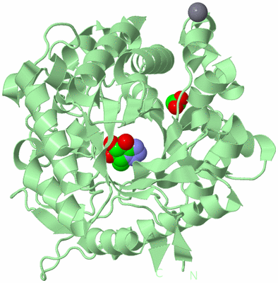 Image Biological Unit 2