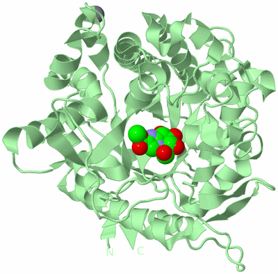 Image Biological Unit 2