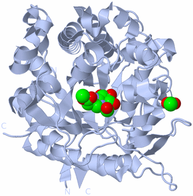 Image Biological Unit 1