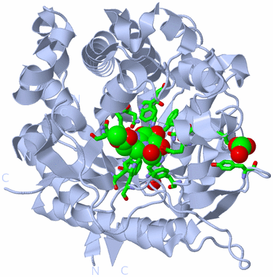 Image Biol. Unit 1 - sites