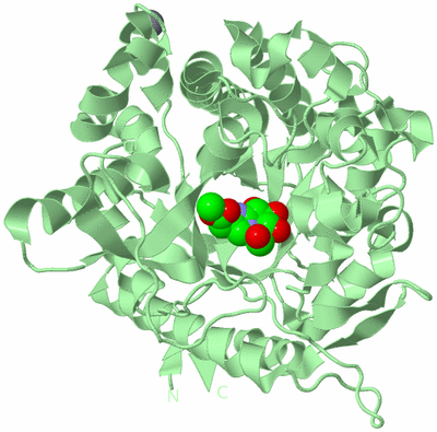 Image Biological Unit 2