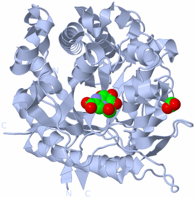 Image Biological Unit 1