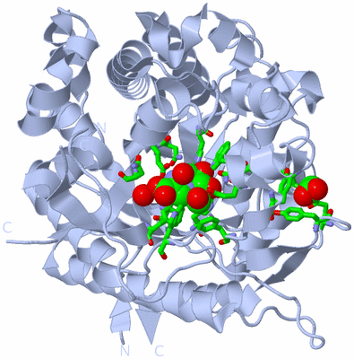 Image Biol. Unit 1 - sites