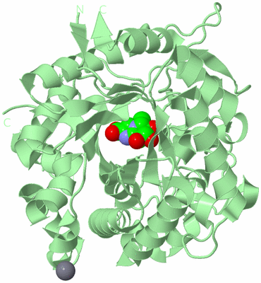 Image Biological Unit 2