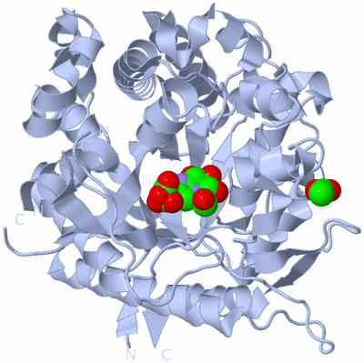 Image Biological Unit 1