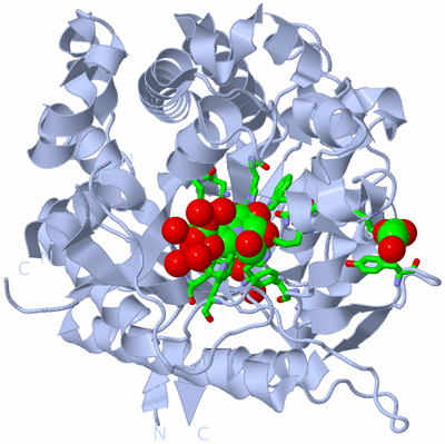 Image Biol. Unit 1 - sites