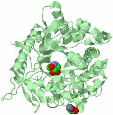 Image Biological Unit 2