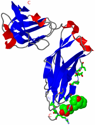 Image Asym. Unit - sites