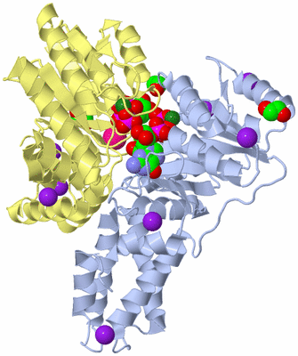 Image Biological Unit 1