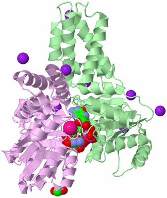 Image Biological Unit 2