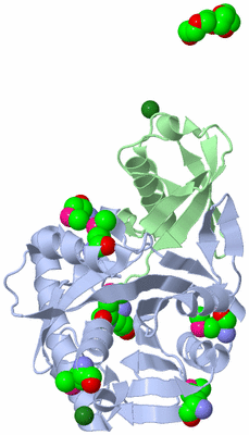 Image Biological Unit 1