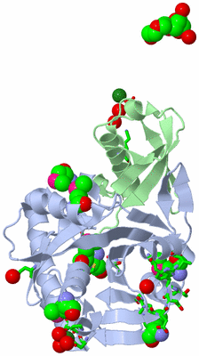 Image Biol. Unit 1 - sites