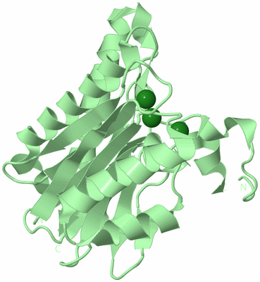 Image Biological Unit 2