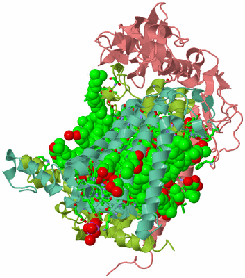 Image Asym./Biol. Unit - sites