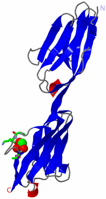 Image Asym. Unit - sites