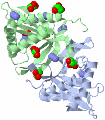 Image Asym./Biol. Unit