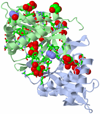 Image Asym./Biol. Unit - sites