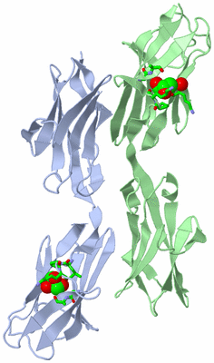 Image Asym. Unit - sites